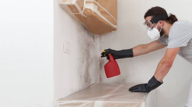 Professional Mold Remediation technician working in Henderson, NC