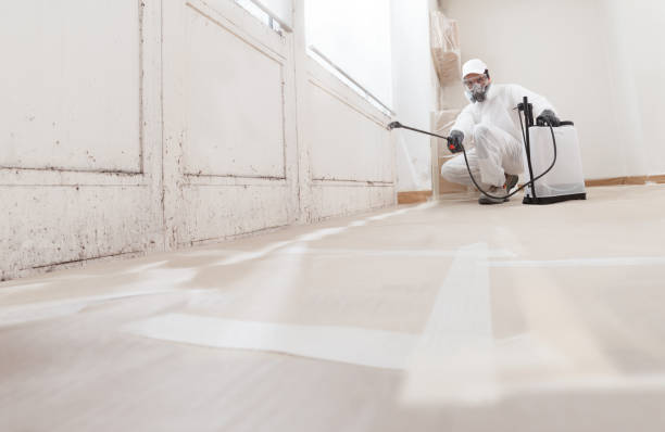 24/7 Emergency Mold Remediation experts in Henderson, NC
