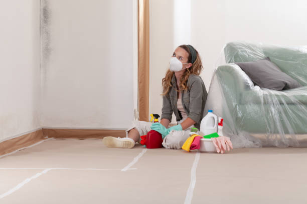 Reliable Mold Remediation contractor in Henderson, NC by Mold Remediation HQ