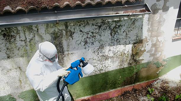 Top rated local Mold Remediation specialists in Henderson, NC